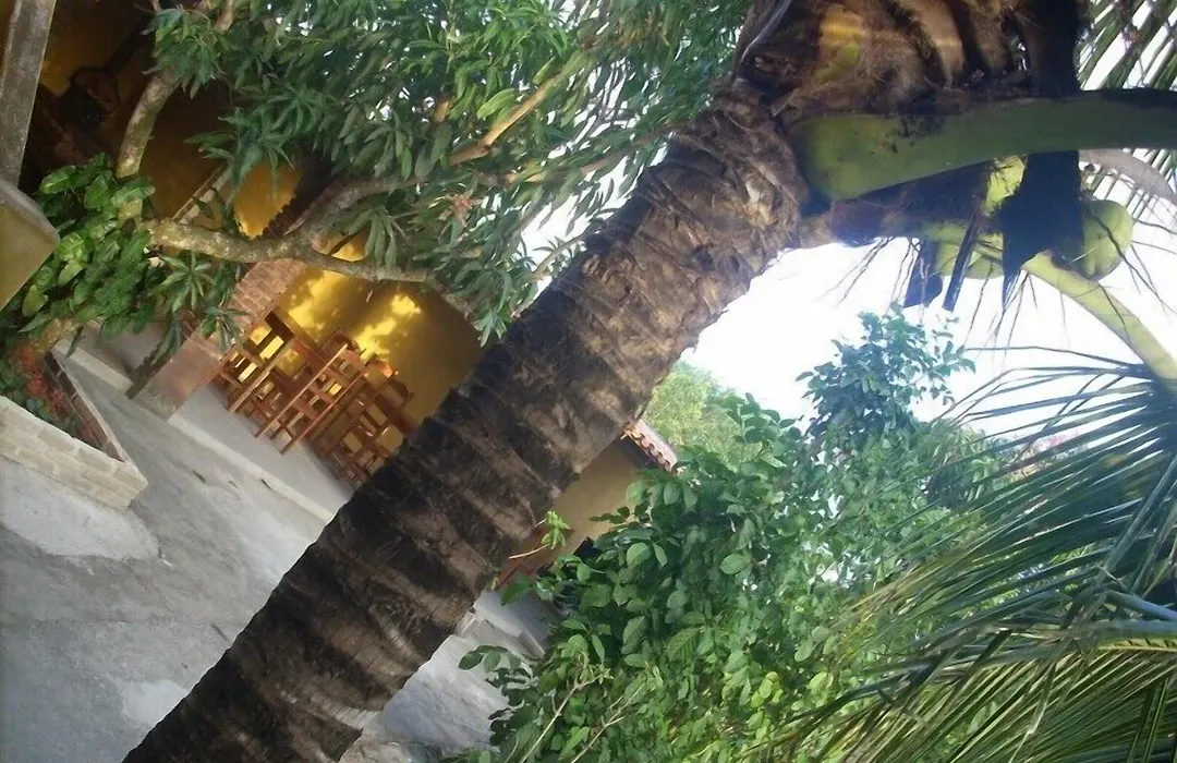 Pousada Água de Côco-1